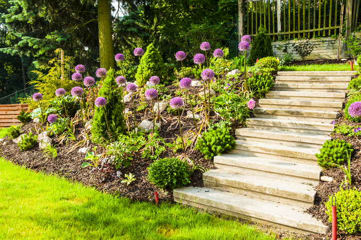 Eine ganze Saison mit bezaubernden Blütenbällen