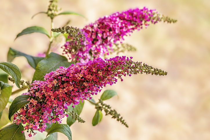 Einen geeigneten Standort wählen