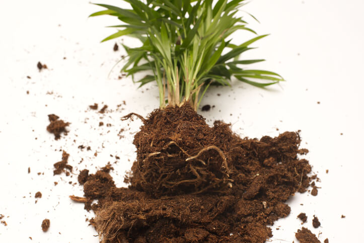 Erste Schritte zur Abhilfe