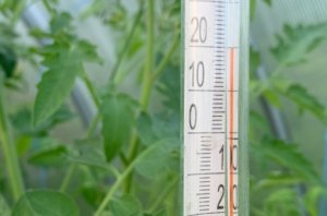 ᐅ Frühbeet Heizung ohne Strom selber bauen so geht es