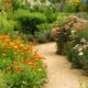 Gartenweg ohne Steine anlegen - Gestaltungsideen