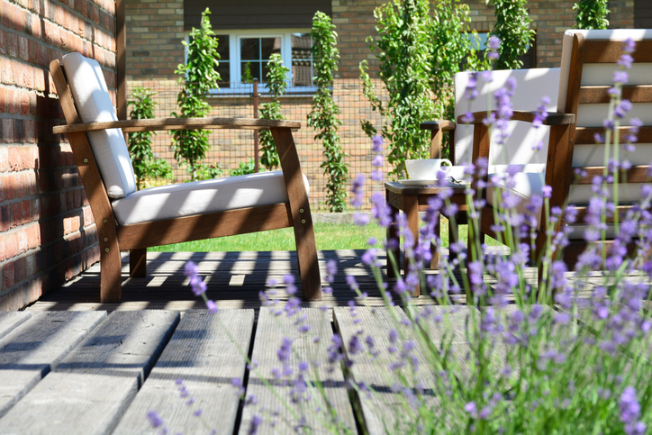 Gegen welche Insekten hilft Lavendel