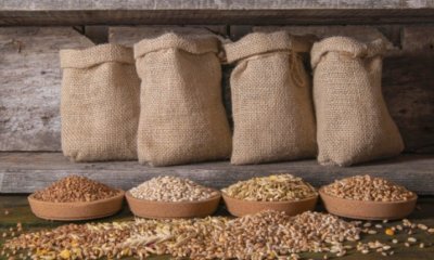 Getreide richtig lagern - Tipps und Tricks
