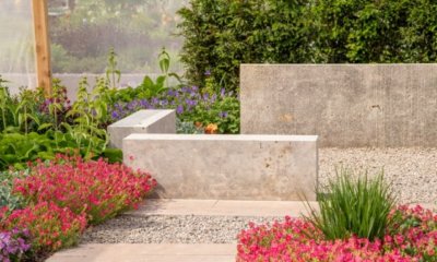 Kleinen Wall bepflanzen - Ideen und Inspirationen