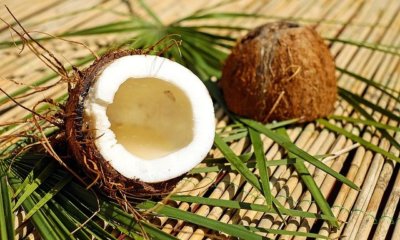 Kokosnüsse trocknen - eine einfache Anleitung