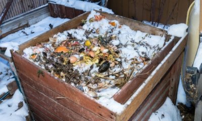 Kompost im Winter anlegen