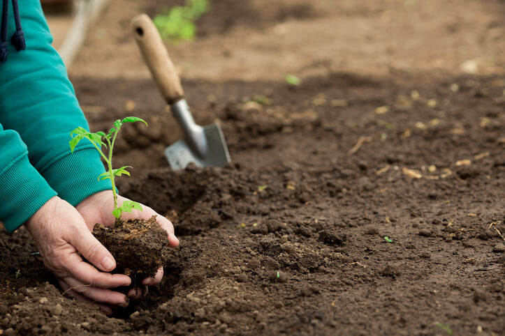 Leichten Boden verbessern