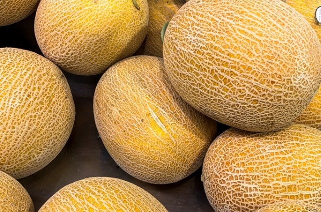 Melone richtig lagern