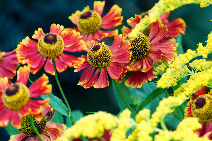 Nützliche Starthilfe für die Sonnenbraut