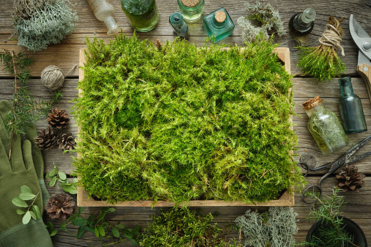 Reinigung vor dem Trocknen