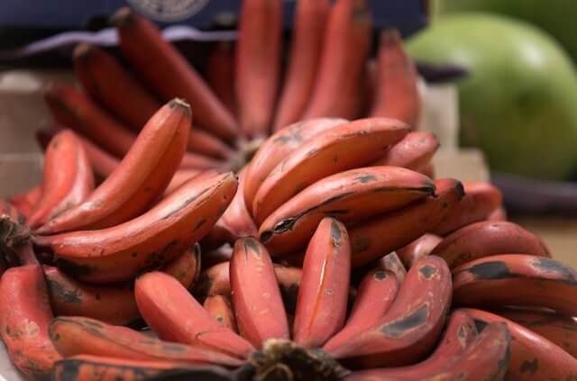 Rote Banane - alles über die exotische Pflanze