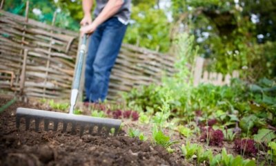 Schlechte Gartenerde verbessern - nützliche Tipps