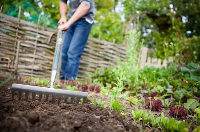 Schlechte Gartenerde verbessern - nützliche Tipps