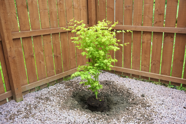 Schritt für Schritt richtig vorgehen