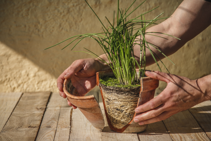 So reparieren Sie den defekten Blumentopf