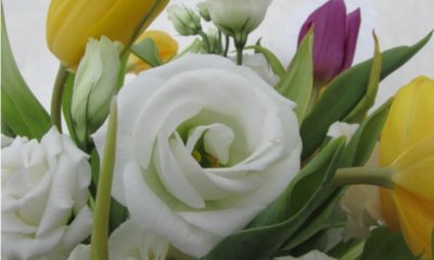 Tulpen und Rosen zusammen pflanzen - eine gute Kombination