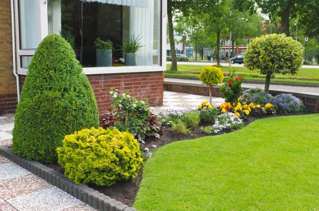 Vorgarten mit Rasen gestalten - Tipps und Tricks