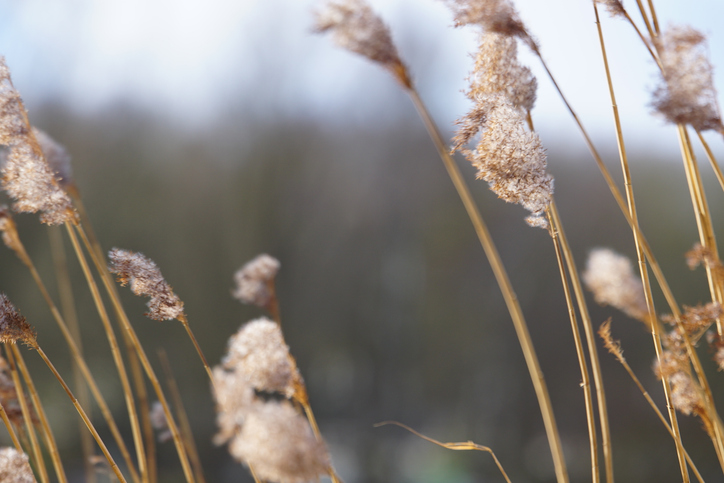 Wann ist der richtige Zeitpunkt