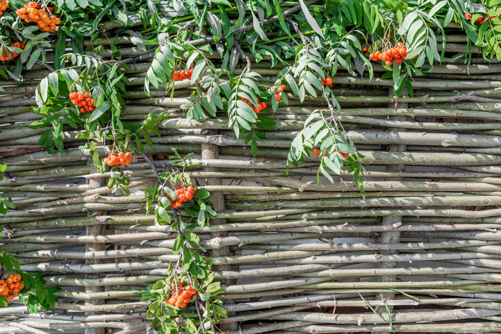 Wie ein künstlicher Sichtschutz eingesetzt werden kann