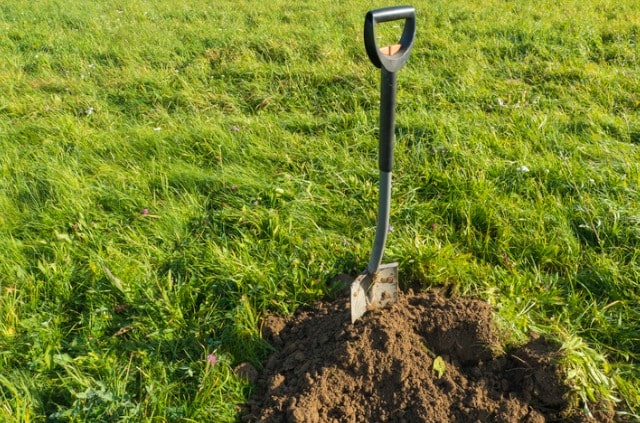 Wiese umgraben - wann macht dies Sinn