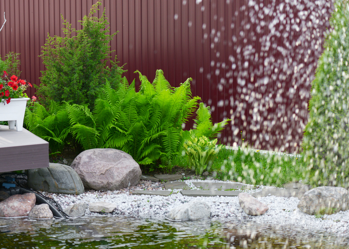 Winterharte Sorten im Garten schützen