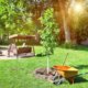 Ahorn im Garten halten