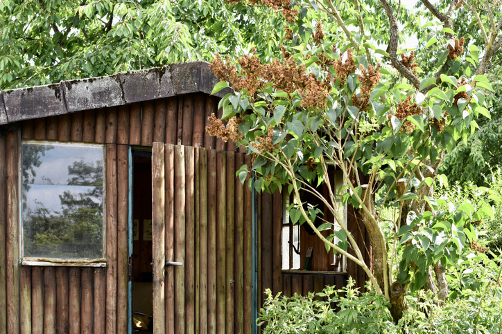 Altes Gartenhaus umbauen - worauf sie achten sollten