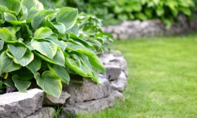 Bauanleitung für ein Hochbeet aus einer Trockenmauer