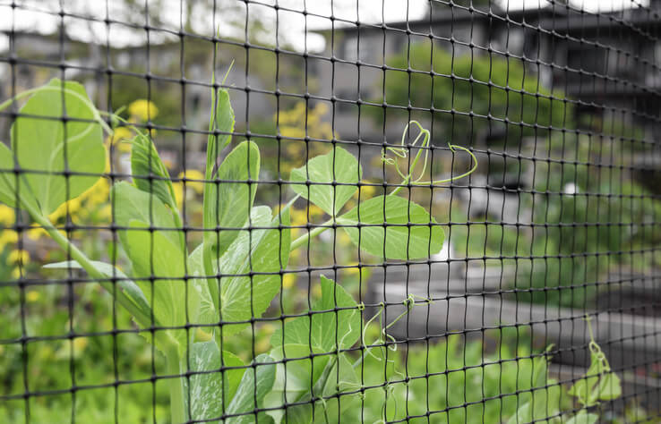 Beeteinfassung aus Maschendraht