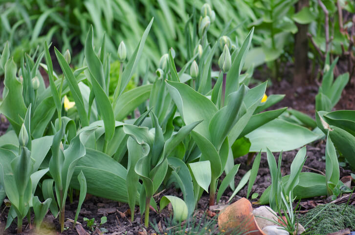 Der falsche Standort