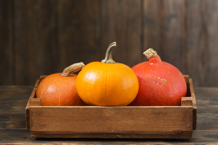 Der perfekte Lagerort für Hokkaido Kürbisse