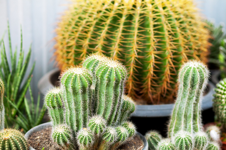 Der richtige Zeitpunkt