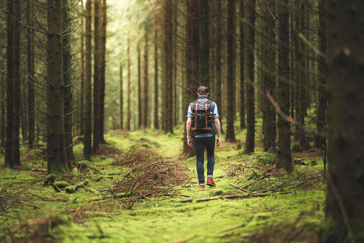 Die Handstraußregel erlaubt Moos aus dem Wald zu holen