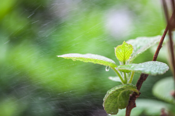 Die Wasserversorgung