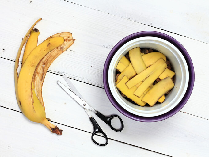 Dünger aus Bananenschale Herstellung