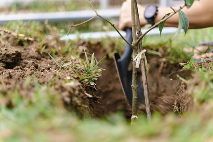 Eine gute Vorplanung ist wichtig