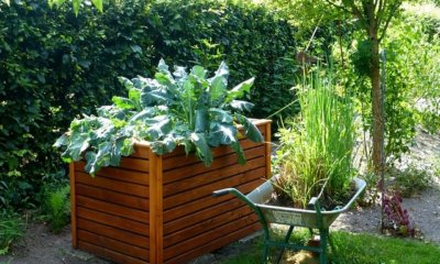 Fünf Tipps, wie Sie ein Hochbeet verkleiden