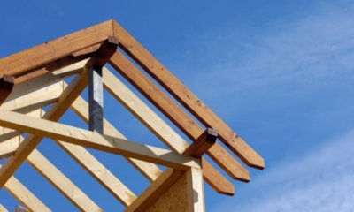 Gartenhaus-Dach erneuern - ausführliche Anleitung