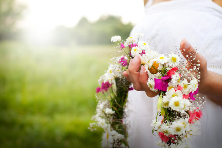 Geeignetes Pflanzenmaterial