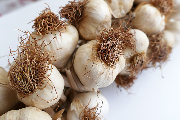 Heilende Eigenschaften von Knoblauch