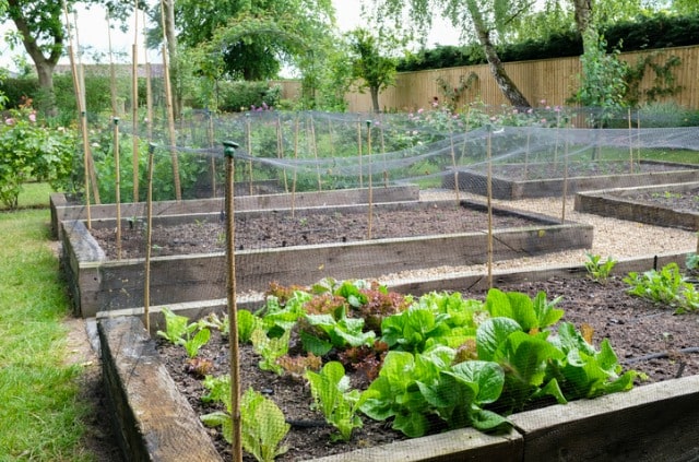 Hochbeet richtig planen