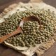 Linsen einfrieren - Tipps und Tricks
