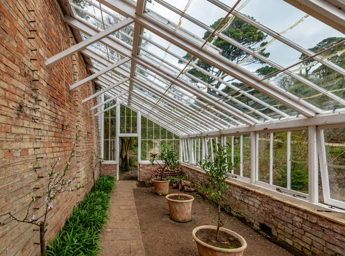 Nektarinen im Kübel überwintern