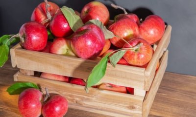 Obst richtig lagern - was passt wirklich zusammen