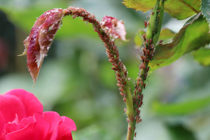 Schnelles Handeln ist wichtig