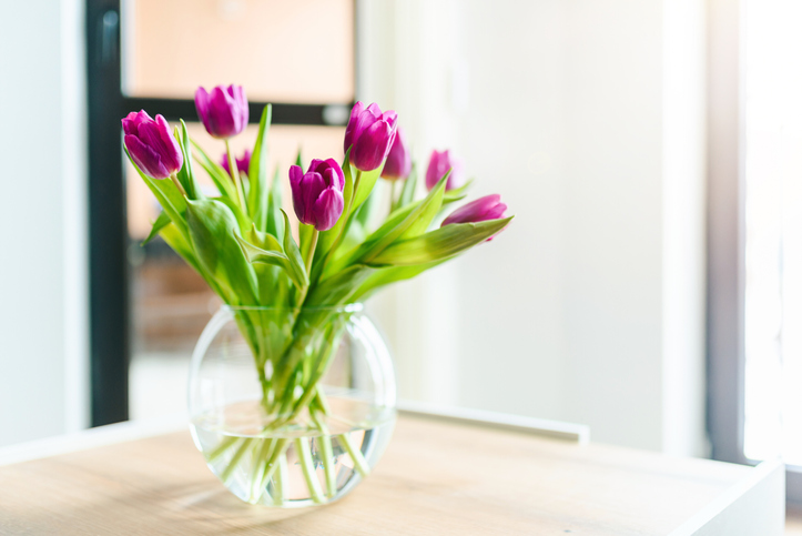 So bleibet Ihr Tulpenstrauß lange frisch