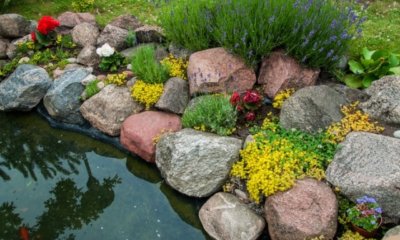 Steine für Ihren Gartenteich - schöne Ideen und Inspirationen