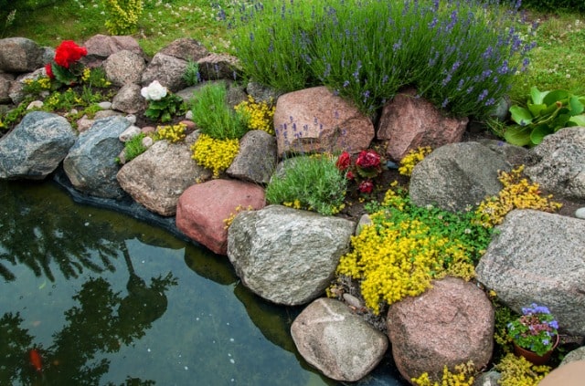 Steine für Ihren Gartenteich - schöne Ideen und Inspirationen