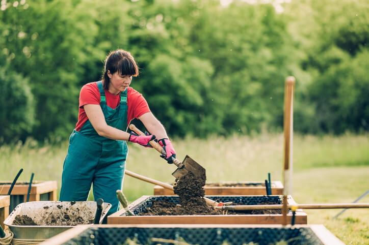 Tipp 4 Schutz vor Schädlingen und Verrottung