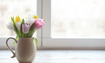 Tulpen in der Vase länger frisch halten - die besten Tipps